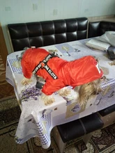 Hoodies Coat Clothing Puppy-Outfit Pet-Dog-Jacket HOOPET Dogs Chihuahua Winter Warm 