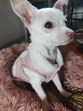 Fleece Vest Suit Coat Jackets Clothing Pet-Dog-Clothes New-Supplies Small Dog Winter