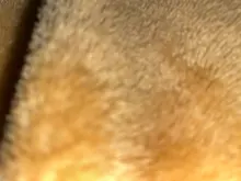 s***s