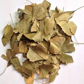 

High quality pure– Ginkgo biloba- Ginkgo Tea Natural dried tea herb 50 gr-400 gr Free Shipping