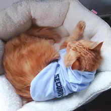 Cat Clothes Pet Cat Coats Jacket Hoodies For Cats Outfit Warm Pet Clothing Rabbit Animals