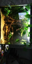 Led-Lighting-Lamp Dimmer Timer Fish-Tank-Light Aquarium Planted NICREW for 32-74cm 110V-240V
