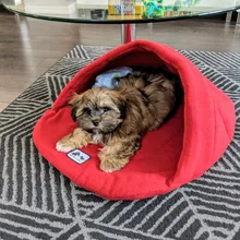 Dog-Bed House Products Pets-Cushion Slippers-Style Winter Cat Soft for High-Quality Pet-Dog