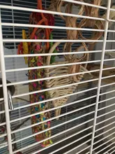 Juego de juguetes para pájaros, Set de 3 unidades por lote para trituradora de loros, jaula colgante variada de forrajeo, estante para masticar pájaros, juguetes para mascotas, juguete para loros molares