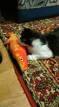 Pet Soft Plush Creative 3D Carp Fish Shape Cat Toy Gifts Catnip Fish Stuffed Pillow Doll