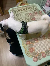 Arnés de perrito arneses de perro mascota reflectante para perros Bulldog francés Chihuahua ajustable perro de Seguridad entrenamiento chaleco para andar sin tirones