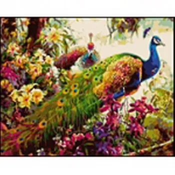 

Painting by numbers on canvas 40x50 cm "motley Peacock" Red Cat q348