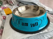 Feeder Drinking Dog-Bowl Cat-Food-Drink Stainless-Steel Puppy Pretty Better Anti-Skid