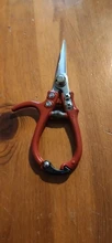 Tijeras de jardín multifunción con hebilla de seguridad, tijera de podar de acero inoxidable para ahorro de trabajo, cortador de plantas de jardinería