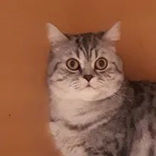G***a