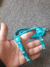 Leash-Set Harnesses Name-Tag Cats Kitten Customized Anti-Lost Nylon And with Blue Red