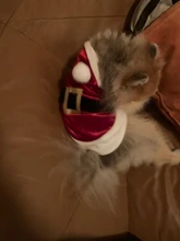 Costume Jackets Yorkie-Outfit Cat-Clothing Puppy Small Dogs Coat Hooded Pet-Dog Winter Dog