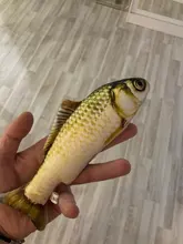 Pet Soft Plush Creative 3D Carp Fish Shape Cat Toy Gifts Catnip Fish Stuffed Pillow Doll