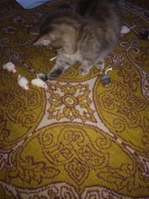 Pet-Cat-Toys False-Mouse Mimi Pets-Products Squeak Noise-Simulation Funny Treats Mini