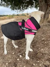 8 Size S-5XL Winter Dog Clothes For Pet Waterproof Warm Large Dog Vest Cat Puppy Dog