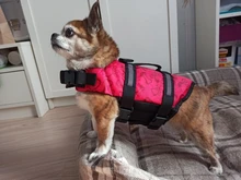 Chaleco Salvavidas para perro, chaqueta Salvavidas para mascota, ropa de seguridad, traje de baño para mascotas, Chaleco de seguridad para verano