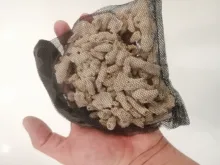 FISH-TANK-FILTER Media Ceramic-Ring Biological-Ball Aquarium Activated-Carbon 