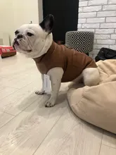 Jacket Vest Puppy-Clothing Pug-Coat Small Dogs Chihuahua Waterproof Winter Teddy Pet-Dog