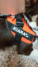Sticker Harness Patch Label Name-Tag Custom K9 Personalized Pet-Dog 2pcs
