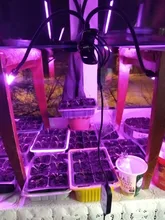 Phyto-Lamp Grow-Light Flower Seedlings Goodland USB Full-Spectrum For Plants LED 