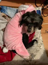 Mono para Perro suave y cálido, pijama de lana para mascotas, Ropa para perros, abrigo, chaqueta, Chihuahua, Yorkshire
