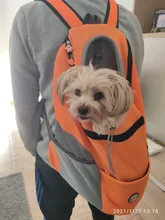 Mochila De viaje portátil plegable con doble hombro para mascotas, bolsa de transporte frontal de malla para perros y gatos