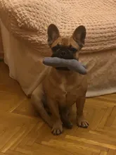 Pet-Bed House Kennel-Mat Puppy Washable Small Warm Large Dog Soft Cotton Medium Bone