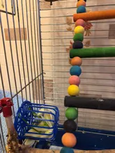 Basket Vegetable-Feeder Bird Pet-Feeding-Supplies Cage Hanging-Toys Fruit 2PCS Multi-Purpose