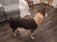 Jacket Clothing Coat Greyhound Waterproof Dog Dogs Large Super-Warm Medium Thick 