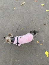 Coat Outfit Pets-Clothing Small Dogs Warm Chihuahua Winter Yorkshire Puppy Schnauzer