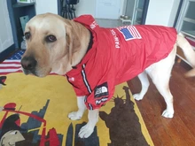 Abrigo para perros, impermeable, chaqueta reflectante para exteriores, con capucha, para cara de perro, para perros pequeños, medianos y grandes