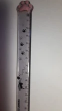 Reglas de plástico con Linda pata de gato para escuela, suministros de oficina Kawaii, accesorios de planificación, premio de estudiante
