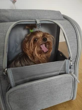 Bolsa de Gato transpirable para mascotas, cómoda y portátil, para exteriores, resistente al desgaste y duradera, plegable, para hombro