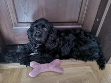 Pet-Bed House Kennel-Mat Puppy Washable Small Warm Large Dog Soft Cotton Medium Bone