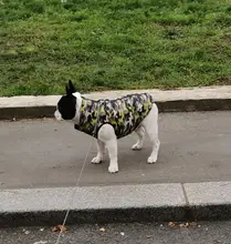 Vest Pet-Jacket Puppy-Coat Cat-Suit Small Dogs Waterproof Camouflage Winter Cotton Warm