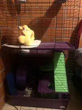 Cage Hamster Bed-House Hedgehog Animals-Supplies Guinea-Pig Snuggle Sack Chinchilla Fleece