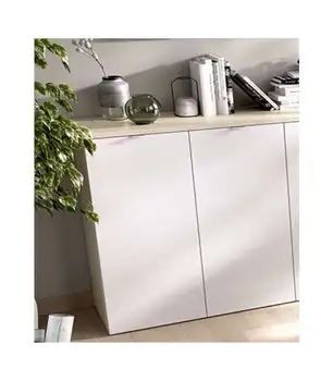 

Closet Under 2 Rox swing doors.