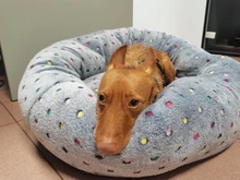 Cama redonda de felpa perfecta para mascotas, camastro cálido de lana, cojín para casa de perro mediano o grande, sillón suave para gato