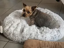 Saco de dormir en invierno para mascotas, caseta de lecho de gatos y perros supersuave, saco de dormir largo y afelpado para cachorros, esterilla portátil, tamaño de 46/50/60cm