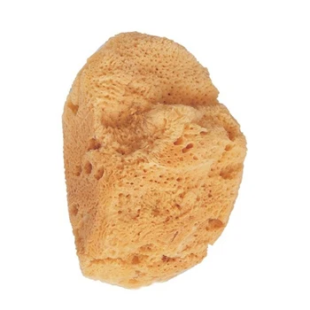 

sponge Beter 116622277