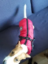 De invierno para mascotas ropa de perro francés mascota Bulldog cálido Chaleco con arnés abrigo perro ropa chaleco pequeño mediano para perros