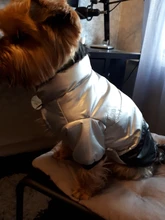 Coat Puppy Clothing Jacket Puppy-French-Bulldog Dogs Waterproof Chihuahua Winter Vest