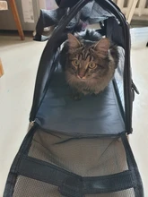Bolsa de transporte portátil para mascotas, bolsa de mano transpirable de viaje para mascotas, suave, color rosa, azul