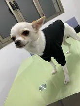 Sweater Dog-Jacket Dog Hoodie French Bulldog Winter Pet-Dog for Flamingo-Design Cats