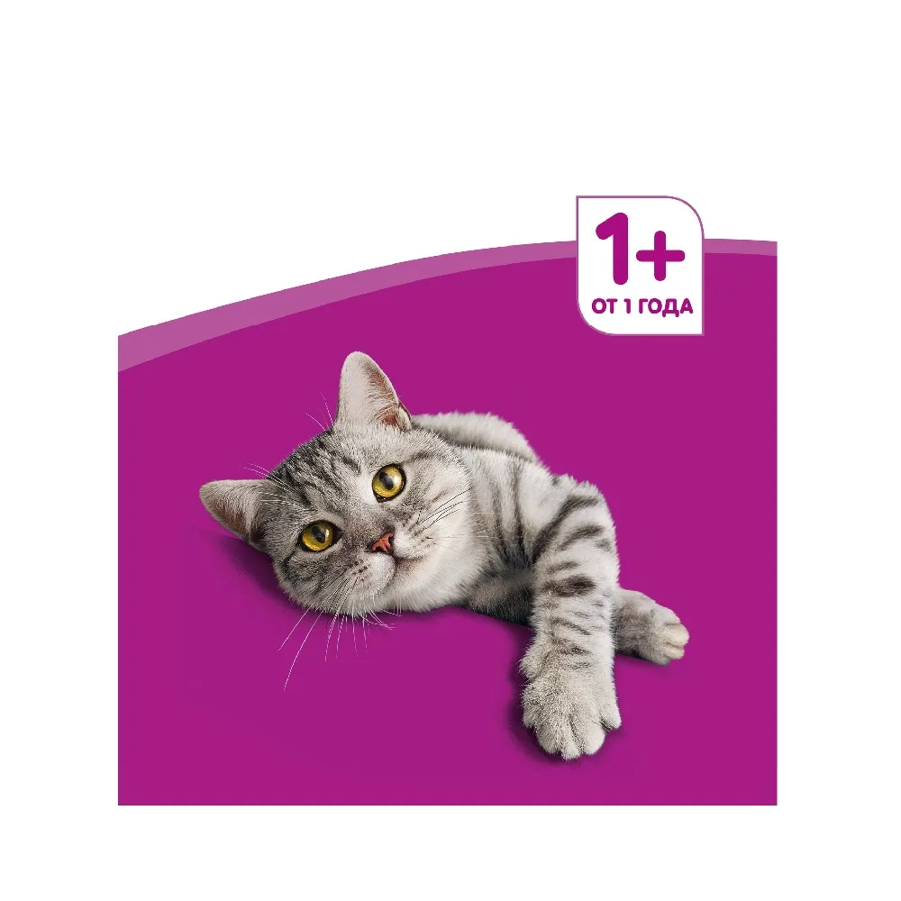 yllhj4sp5fx28rvpplkc