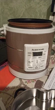 1.6L rice cooker used in car  and truck 12v to 24v enough for two to three persons