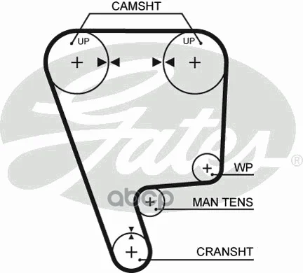 Timing Belt Honda Civic, CRX B16a 89 98 Gates. 5348XS|Mirror ...