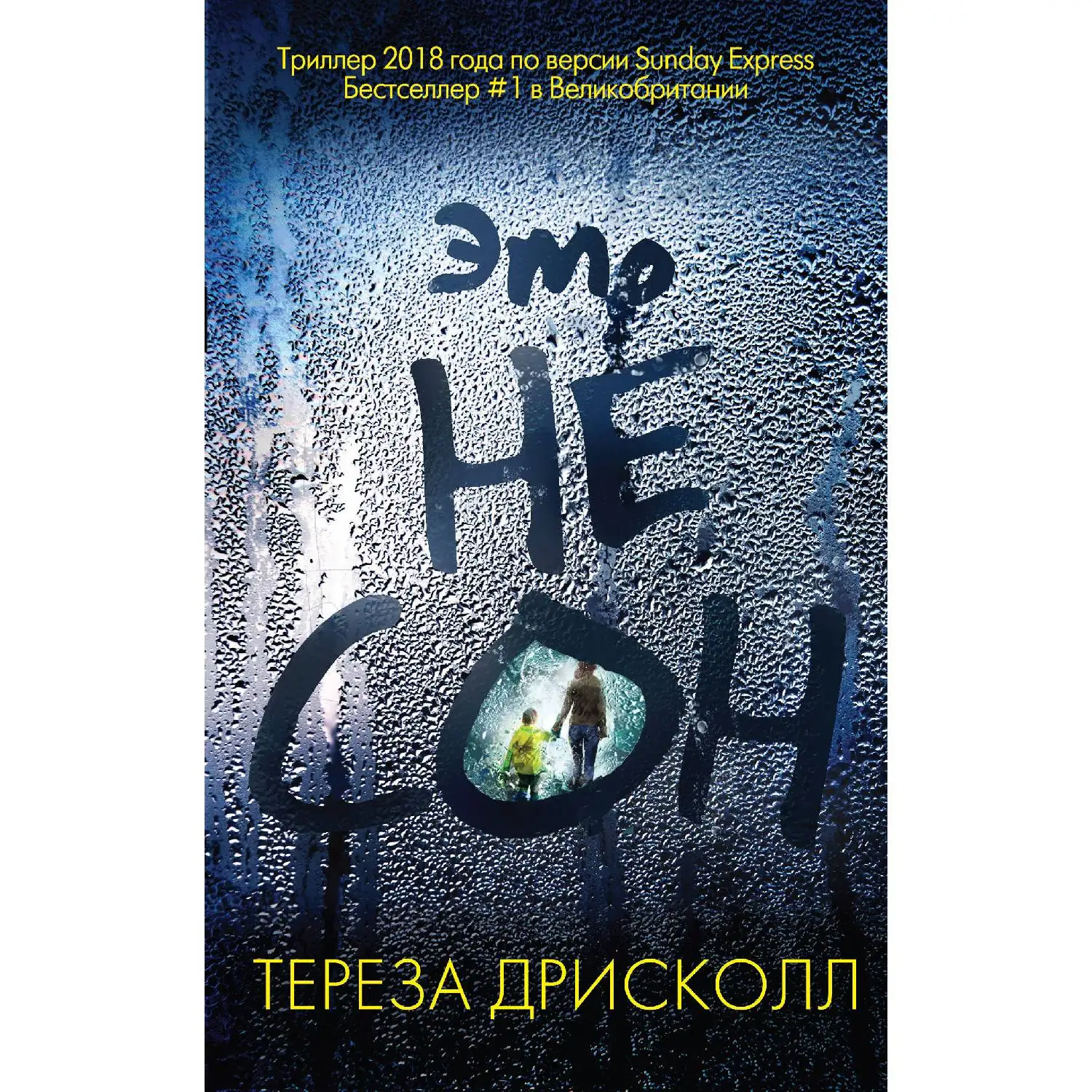 Это не сон. Тереза Дрисколл (Мчась в поезде за много миль от дома, Софи получает по телефону ужасающее известие. Два мал