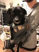 Backpack Travel-Carrier Portable-Bags Transportin Front-Chest-Large Pet Outdoor for 12kg