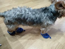 4 unidades/juego de zapatos de lluvia antideslizantes de Cachemira suave y cálida para mascotas, calzado suave a prueba de viento para perros y mascotas, zapatos impermeables antideslizantes